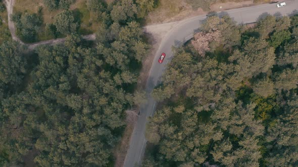 Red Car Driving in Forest