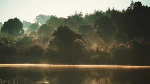 Morning Fog over Lake in Forest. Timelapse