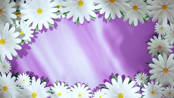 Spinning Chamomiles On Card Stylish Purple Background