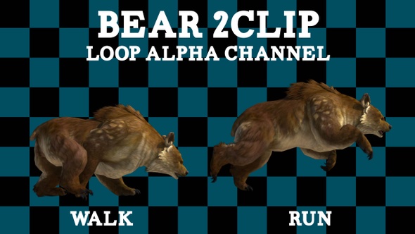 Bear 2 Clip Loop