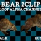 Bear 2 Clip Loop - VideoHive Item for Sale