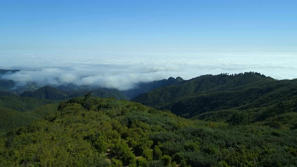 Thick Forests and Mountain Landscape of Madeira alt