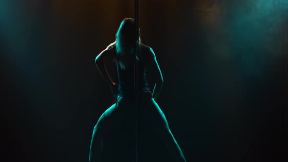 Sexy Slim Woman Dancing Striptease and Spinning on a Pole in a Nightclub alt