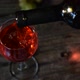 Wine Being Poured Into Wine Glass - VideoHive Item for Sale