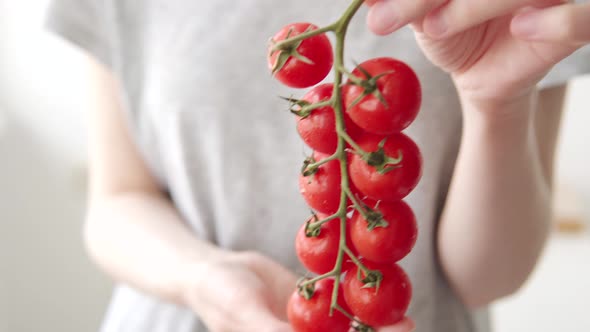 A Woman Holds a Branch of Ripe Cocktail Organic Tomatoes in Her Hands