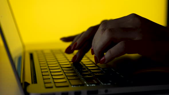 Woman Working on a Laptop in the Studio on a Yellow Background alt