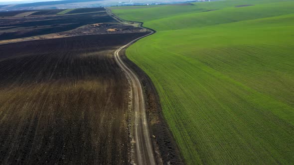 Aerial view of spring field