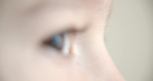 Portrait of a Funny Little Boy Looking at Camera, Close Up Eye, Sunny Summer Day, Cute Baby Face of alt