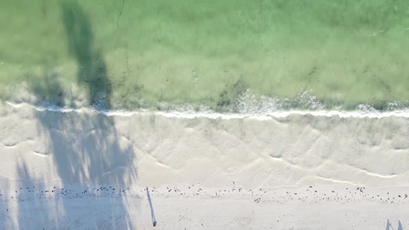 Vertical Video of the Ocean Near the Coast of Zanzibar Tanzania Aerial View alt