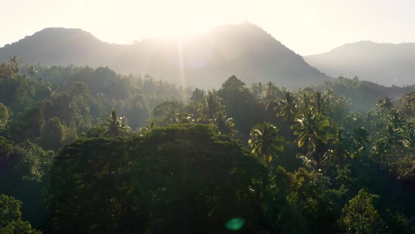 Moving Over Rainforest Towards a Mountain at Sunrise