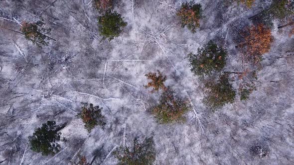 Winter landscape from high above. Drone view