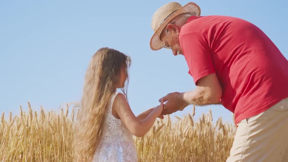 Senior Man and Girl Collect Grains From Wheat Spikelets alt
