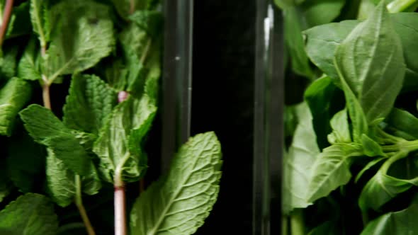 Various type of herbs in plastic tray 4k alt