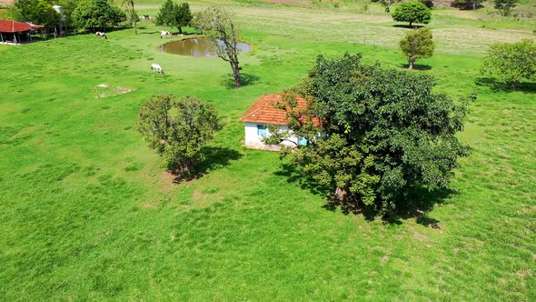 Countryside scenery aerial view. Rural landscape. alt