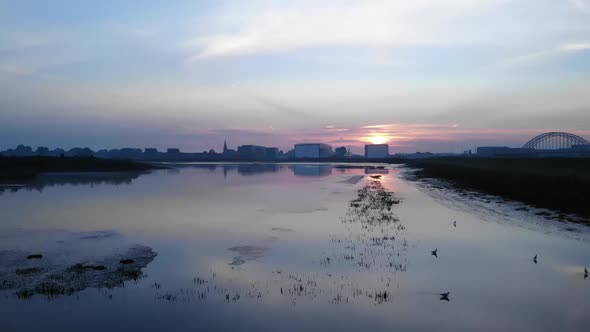 birds walking true the grass and mud looking for food during low water. Slowmo drone shot in the net alt