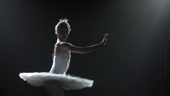 Classical Ballet Choreography Perfoming By Young Beautiful Graceful Ballerina in White Tutu alt