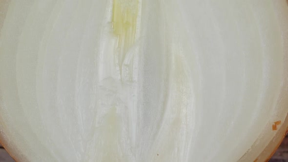 Fresh onion bulb close up alt