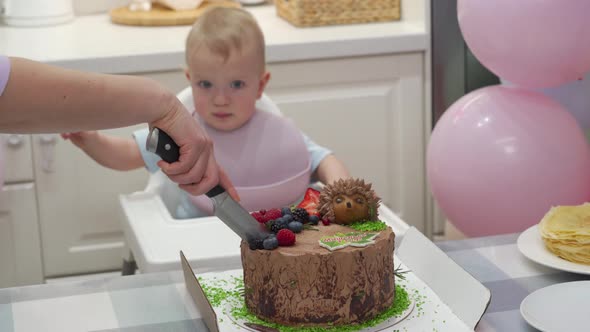 Baby Celebrate First Birthday Holiday Mother Cuts Pieces of Birthday Cake One Year Old Kid Against alt