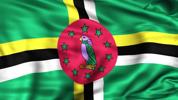 Dominica Flag alt