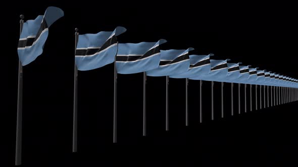 Row Of Botswana Flags With Alpha 4K alt