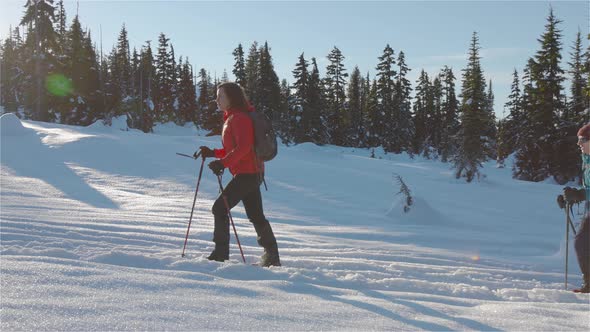 Adventure Girl Friends Hiking in Canadian Mountain Nature During Winter Sunny Morning alt