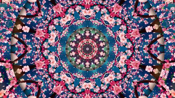 Cherry Blossom Kaleidoscope