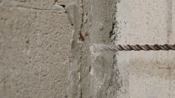 Man drilling hole in concrete wall. Repair works indoors in slow motion alt