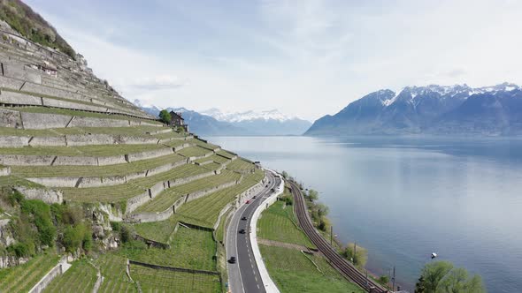 Drone footage flyover of a vineyard with cars driving along  the shore of a lake in Switzerland alt