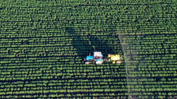 Top View of Field's Fertilizing Process Carried Out By a Tractor, Chemicals Used By Agricultural alt