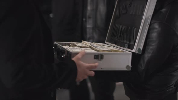 Criminal Briefcase Filled With Cash alt