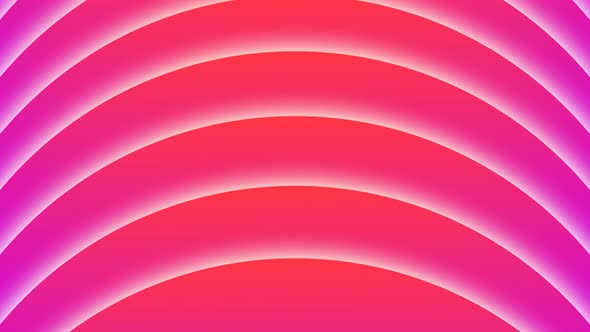 Sunset Geometric Curved Shape Flow Animation, Purple Pink