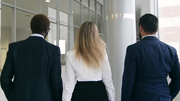 Group of business colleagues going indoor