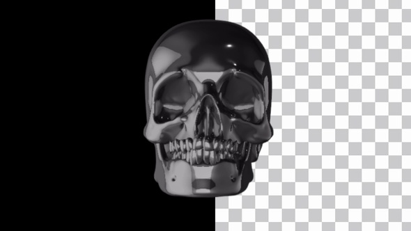 Rotating 3D Skull With Alpha