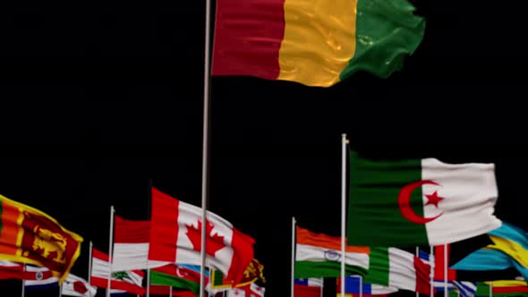Guinea Flag With World Flags In Alpha Channel