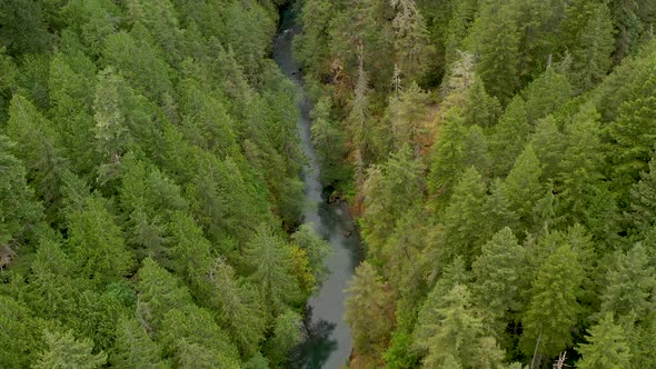 Aerial drone flight over calm creek flowing through lush green forest in the pacific northwest. alt