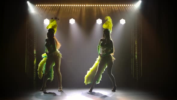 Silhouette of Young Attractive Women in Exotic Costume with Feathers on Their Heads Dances. Two alt