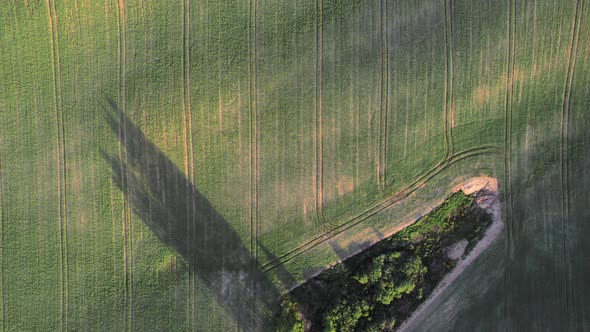 Aerial Drone Top Down View of Small Heart Shaped Copse with Shadows on a Freshly Sown Green Field