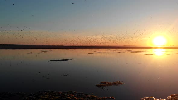 Sea Estuary. Flight Over Water. Sunset Over the Estuary. Birds Fly Over the Water Surface.