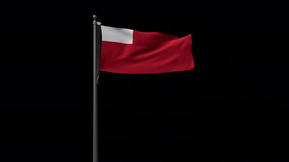 Abu Dhabi City Flag With Alpha 4K alt