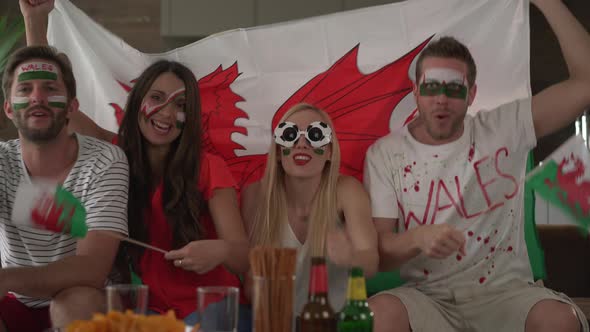 Four soccer Fans Cheering for Wales