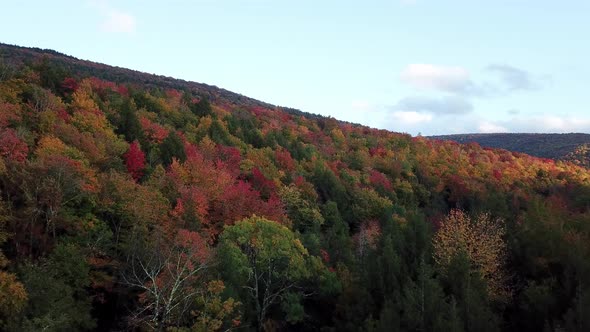 Reveal Fall Mountainside