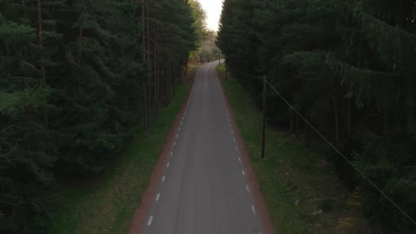 Slow fly along road that goes through coniferous forest alt