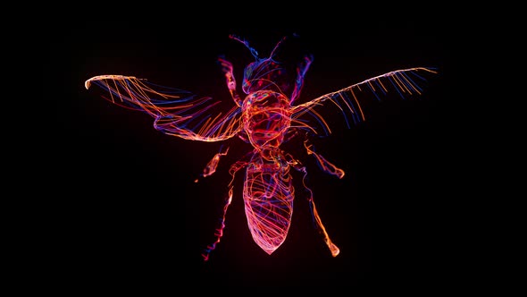 3D Рolographic Insect Fly Looping Animation