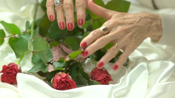 Red Manicure and Fresh Red Roses. alt