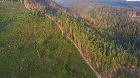 Deforestation. Aerial drone view of forest destroyed in Ukraine. alt