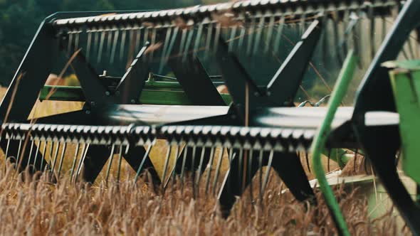 Cutter Bar Of A Combine Harvester Rolling In The Ripe Wheat Field  Gathering Crops alt
