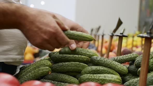 Close-up Hands of Grocery Worker Is Arranging Cucumbers on Store Shelves