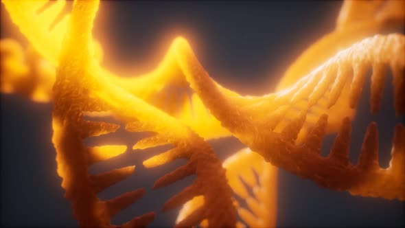 Loop Double Helical Structure of Dna Strand Close-up Animation alt