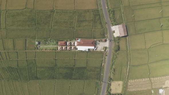 Aerial Shooting From Drone alt