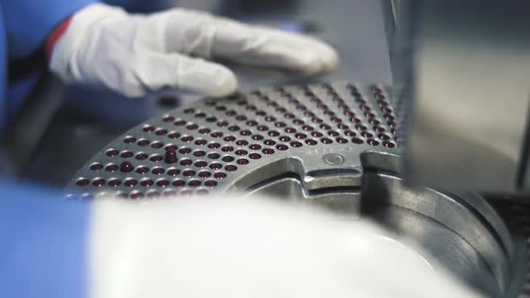 Steel capsules full of medicine tablets checked by workers for high standard production of factory alt